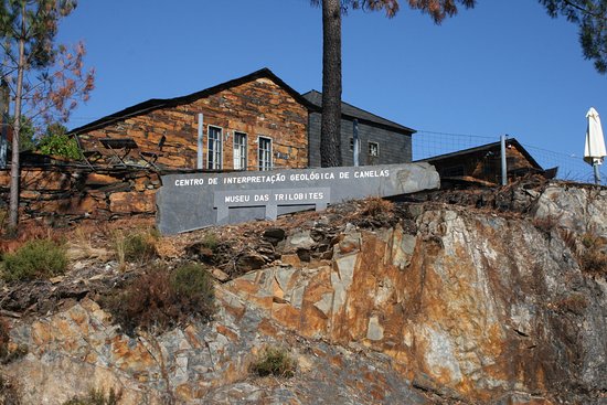 Museu das Trilobites
